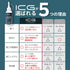ICG 鉄粉除去ジェル