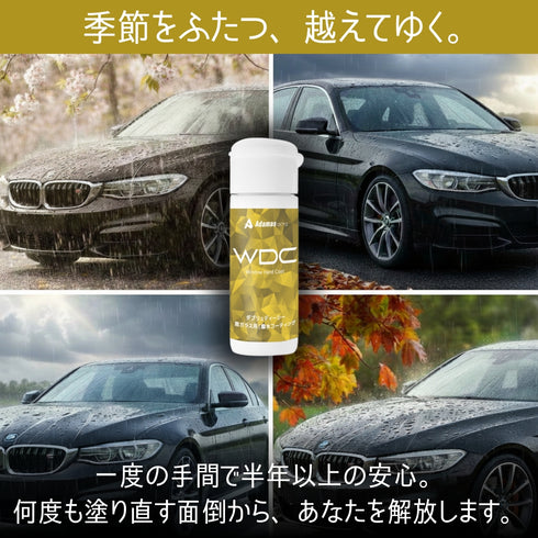 WDC window coat